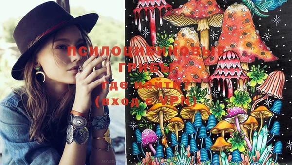 соль ск Киреевск