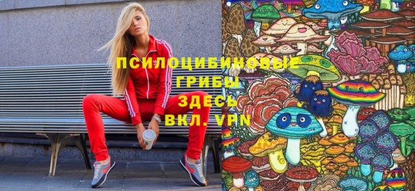 ГАЛЛЮЦИНОГЕННЫЕ ГРИБЫ Касимов