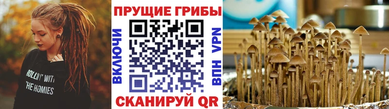 Галлюциногенные грибы мицелий  Купить  Тольятти 